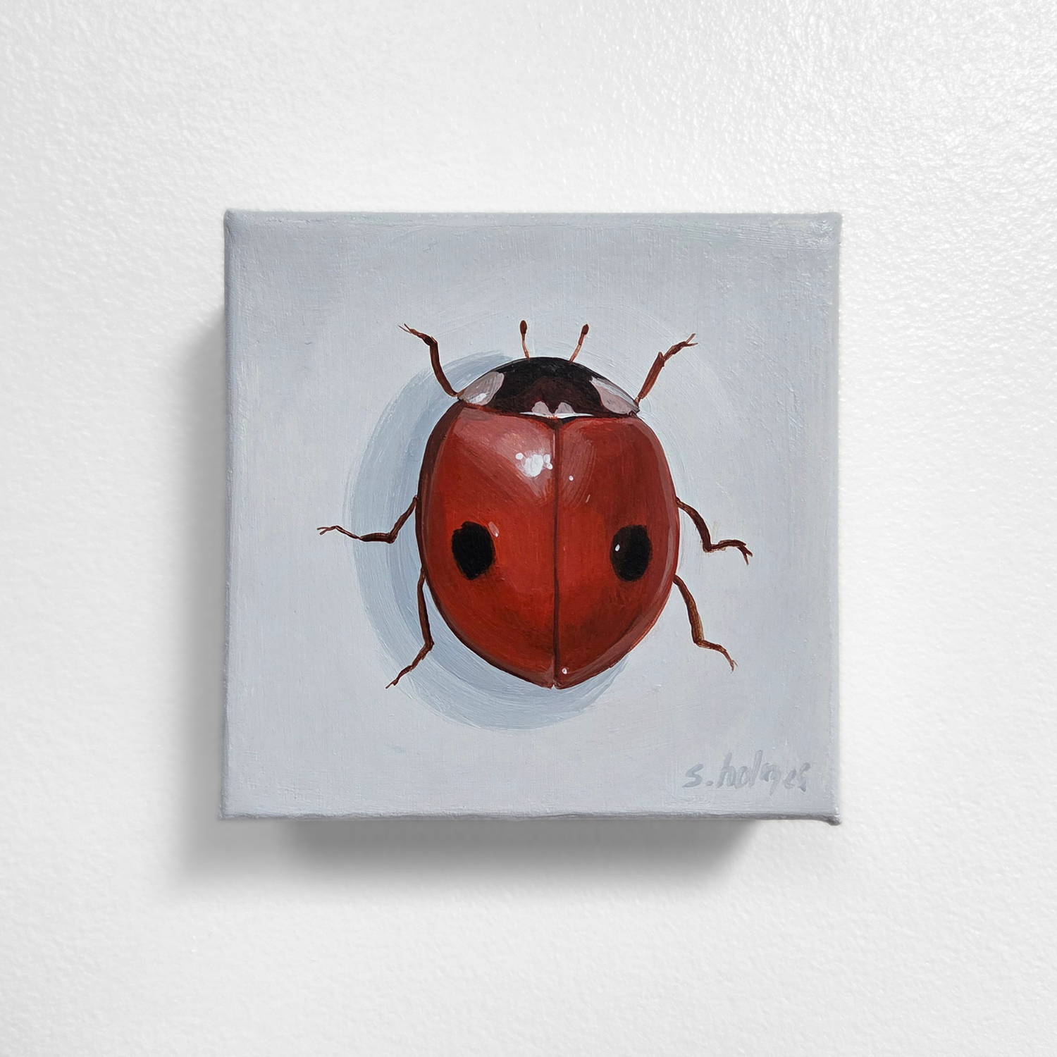 Painting of a ladybug on a light gray background