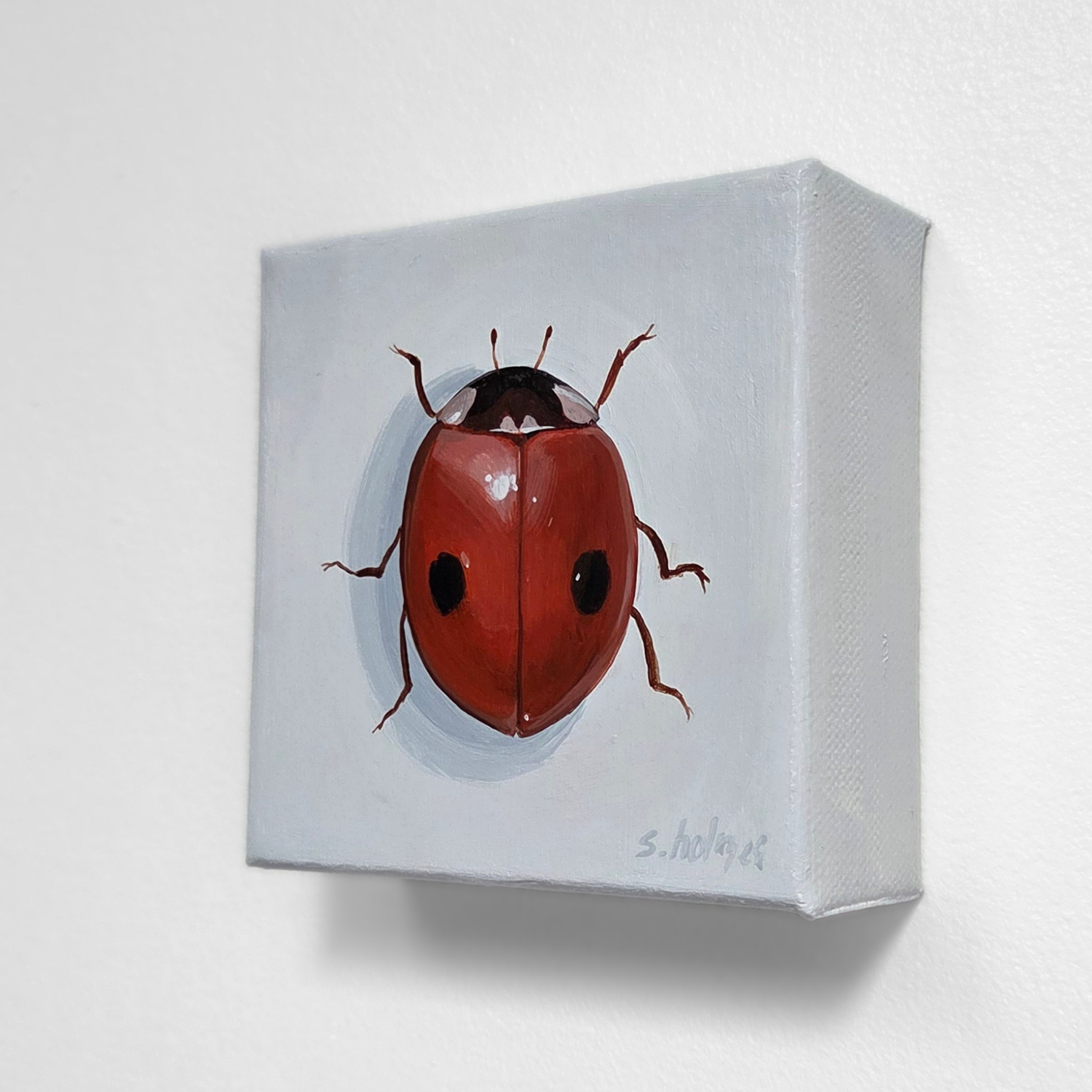 Canvas print of a ladybug on a white background