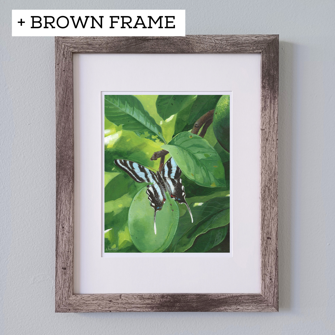 Zebra Swallowtail Butterfly Rests In Pawpaw Grove print