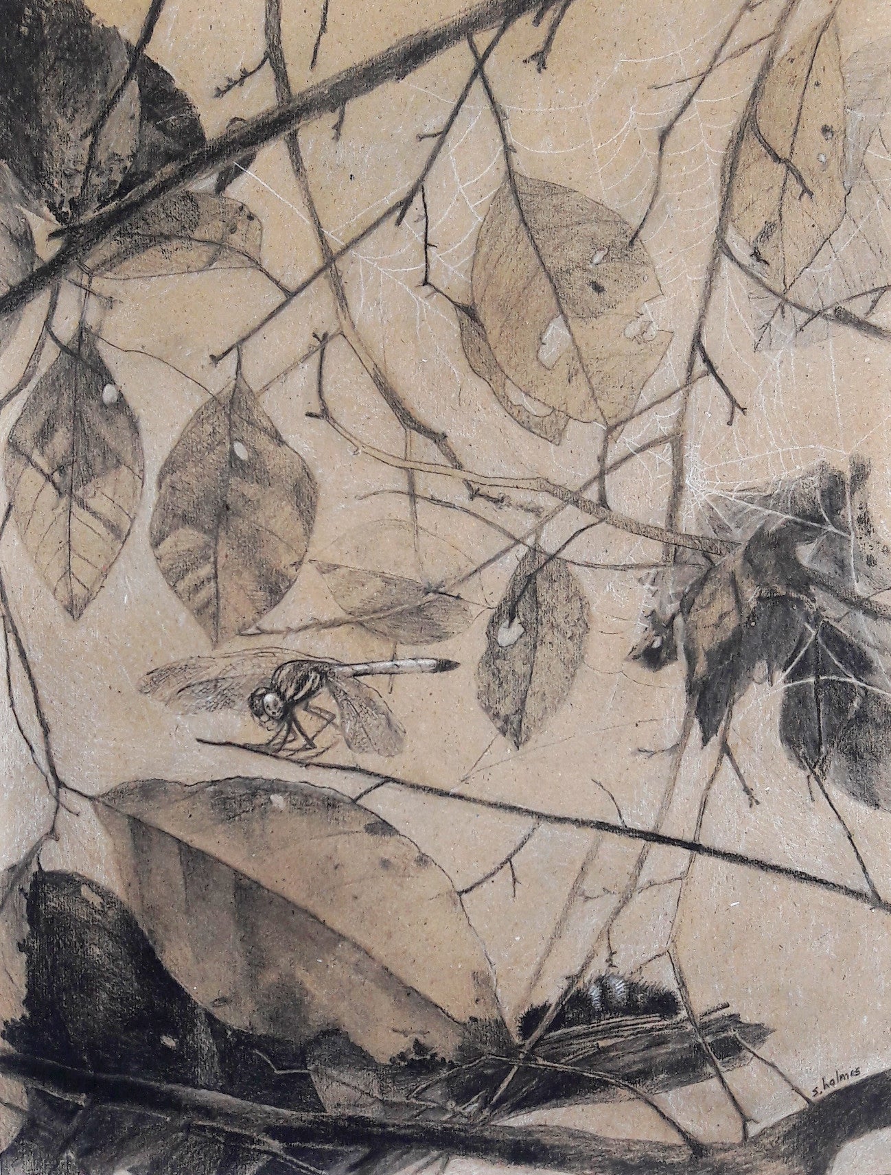 A charcoal drawing on brown paper featuring branches, leaves, and a dragonfly in front of a spiderweb.