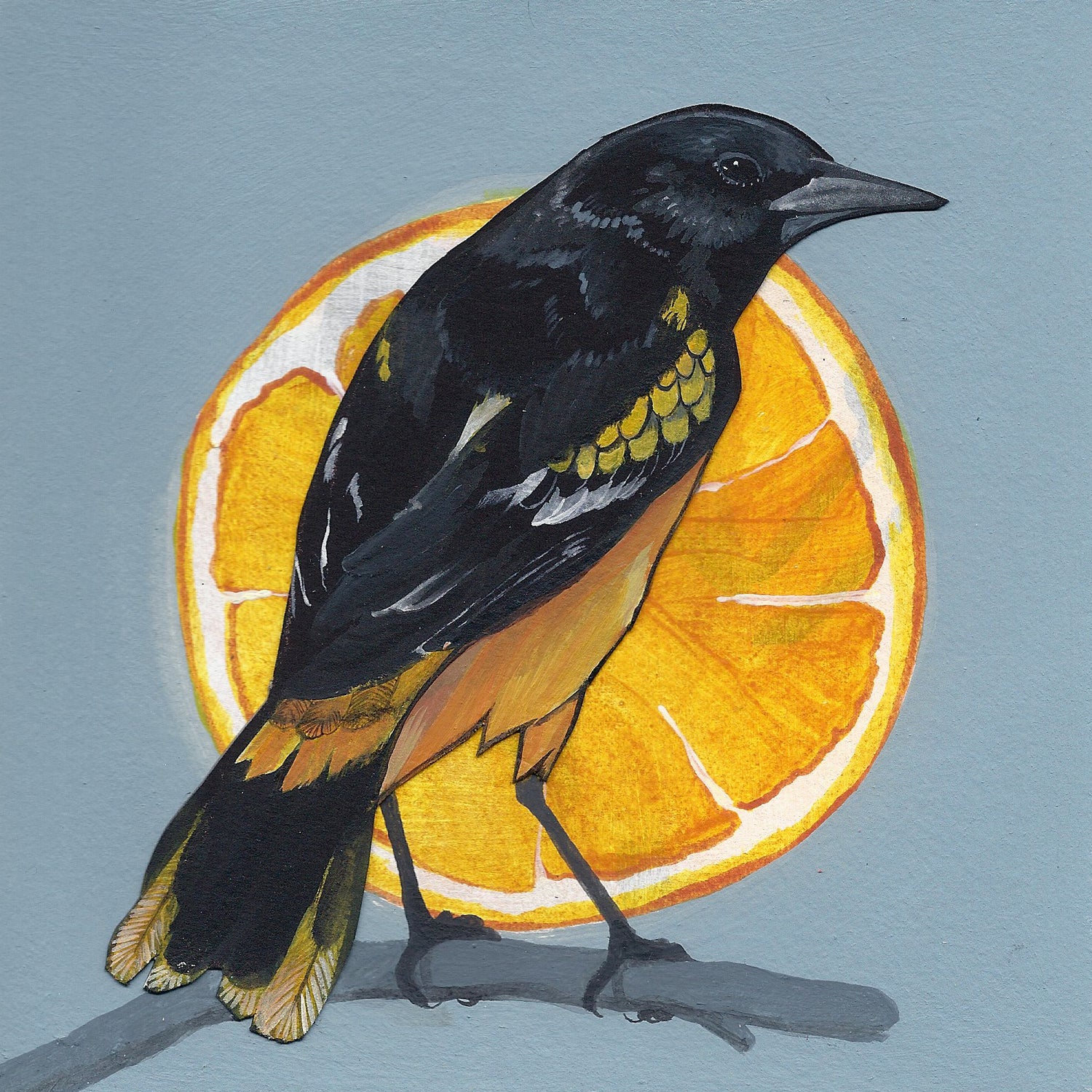 An art print featuring a Baltimore Oriole bird in front of a bright orange slice with a blue background.