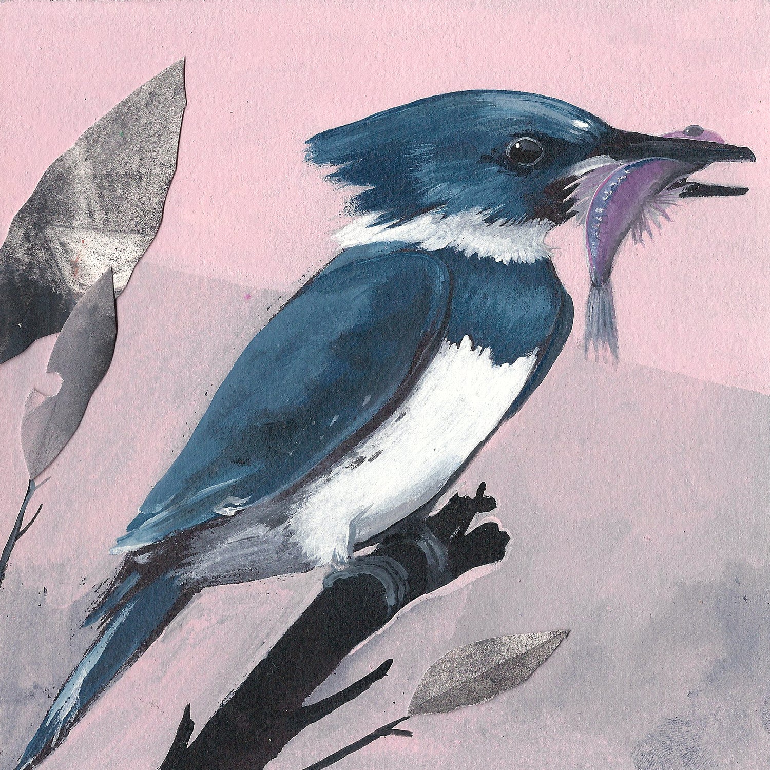 An art print featuring a blue Belted Kingfisher bird on a pink background.